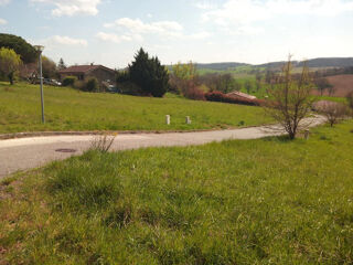  Terrain à vendre 1000 m²