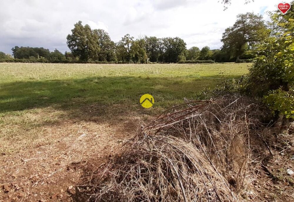 Vente Terrain BEAU TERRAIN 6280 M² Saint martinien