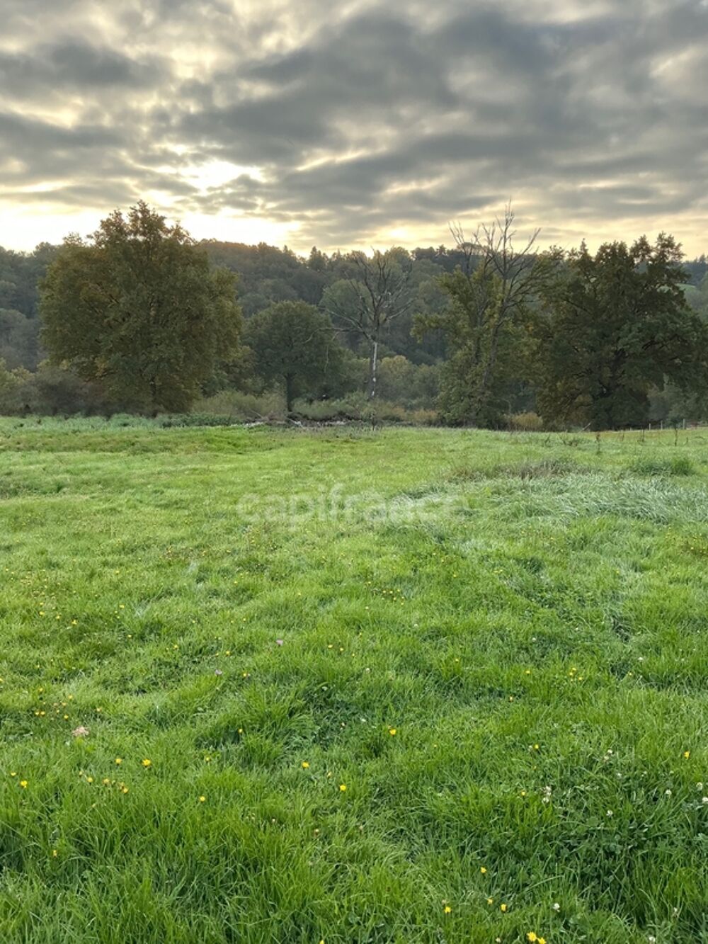 Vente Terrain TERRAIN À VENDRE – SECTEUR RÉSIDENTIEL CALME Cusset