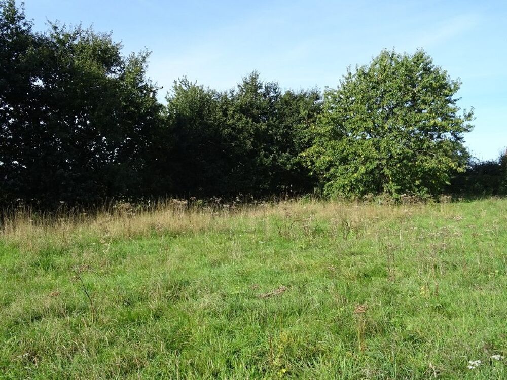 Vente Terrain Dpt Seine Maritime (76), à vendre OHERVILLE terrain à bâtir Oherville
