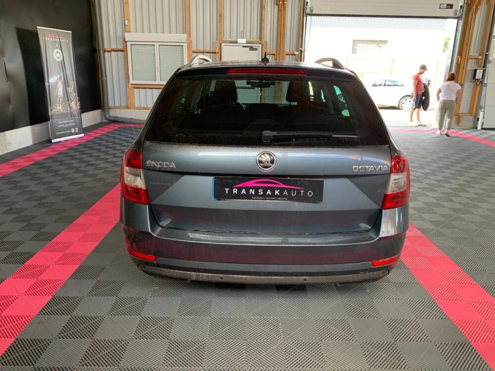 Octavia 2.0 TDI 150 ch SCR FAP DSG7 Edition 2019 occasion 56120 Les Forges De Lanouee