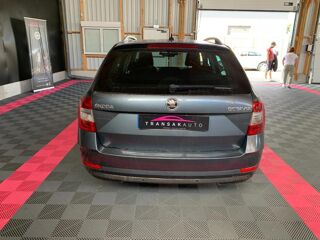 Octavia 2.0 TDI 150 ch SCR FAP DSG7 Edition 2019 occasion 56120 Les Forges De Lanouee