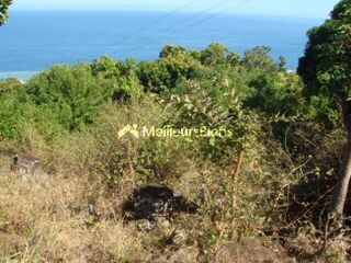  Terrain � vendre 3650 m�