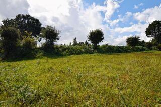  Terrain � vendre 790 m�