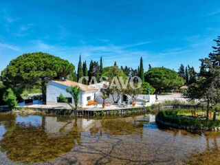  Propriété/château à vendre 8 pièces 300 m²