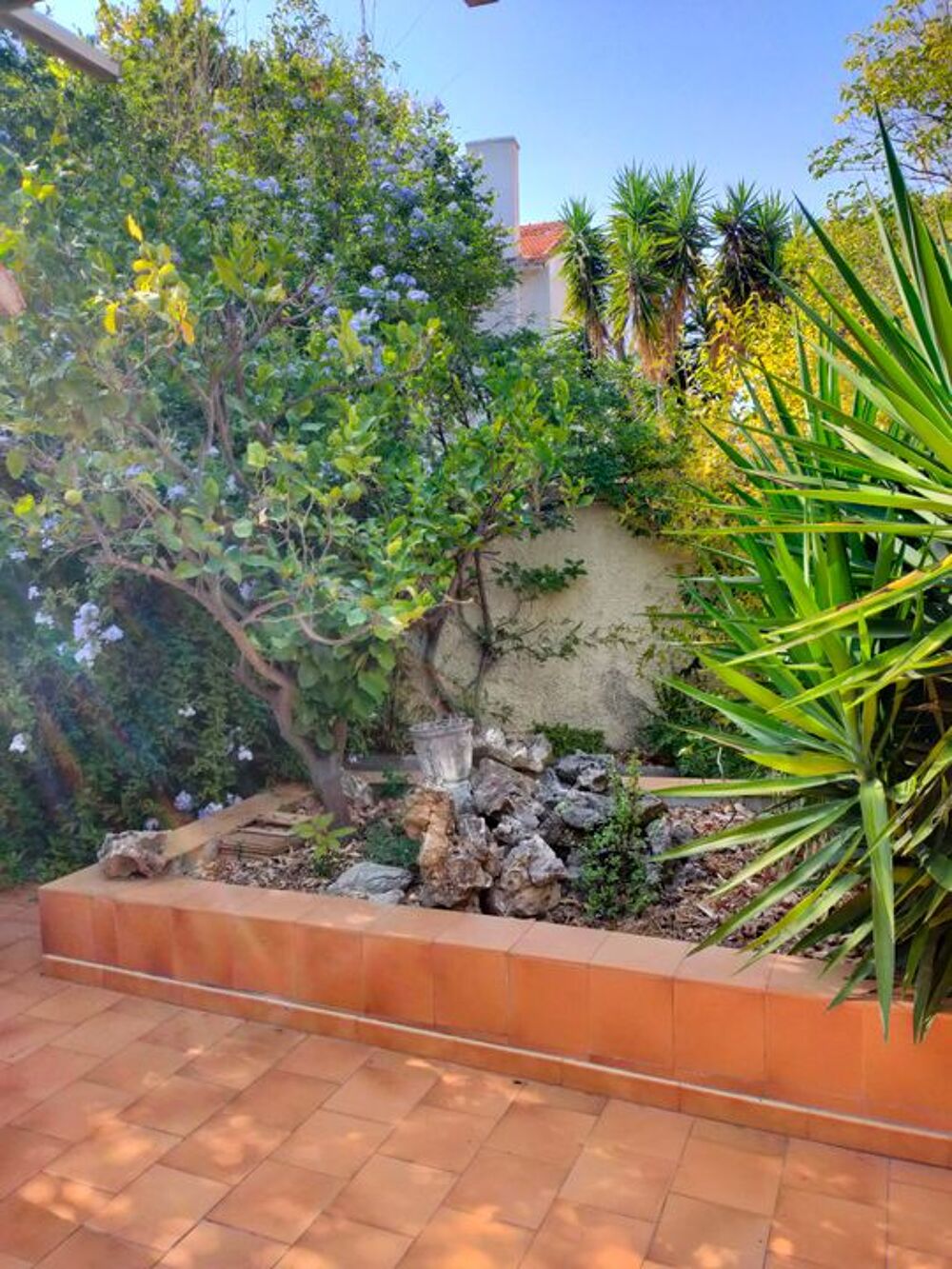 Location Appartement Chambre de 15m2 à louer sur Toulon Toulon