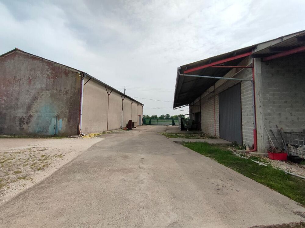 BATIMENT ARTISANAL 450 m² Vayres