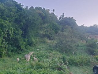  Terrain  vendre 2000 m