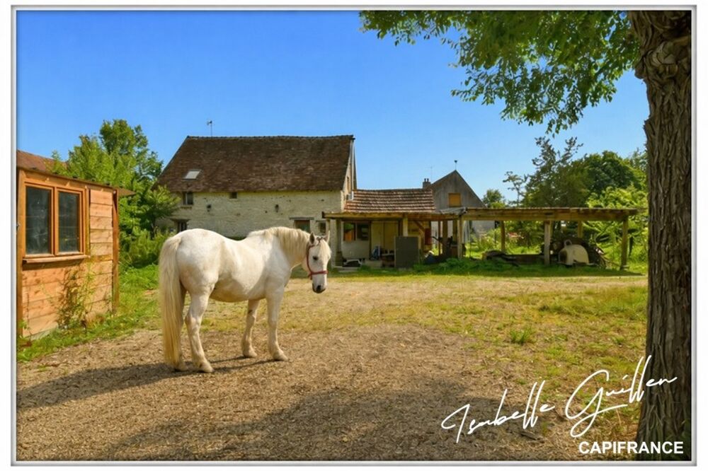 Vente Maison Propriété à vendre à Touchay : 2 maisons avec 4.5 hectares TOUCHAY (18) Touchay