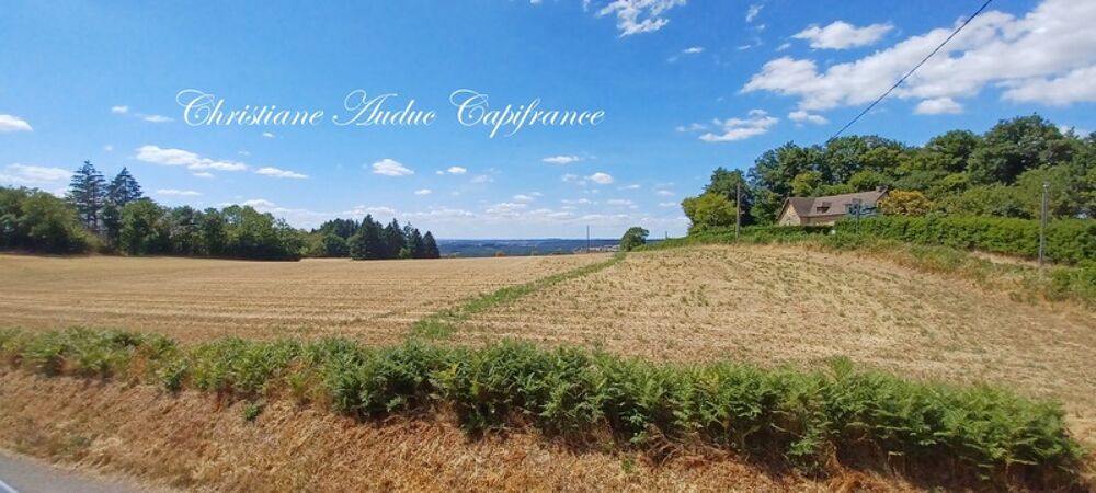 Vente Maison Entre Cluny et Charolles, vaste propriété de 250 m², sur terrain de 2 800   m² Suin