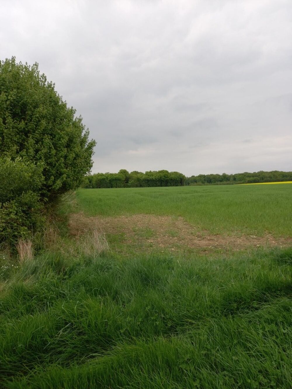 Vente Terrain Terrain � vendre de 2 924,00 m� COURTEMAUX (45) Courtemaux