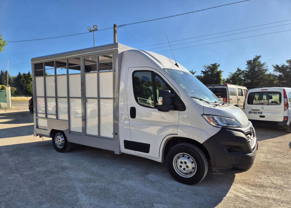 Movano B&eacute;taill&egrave;re 2.2 140 cv 2022 occasion 84300 Cavaillon