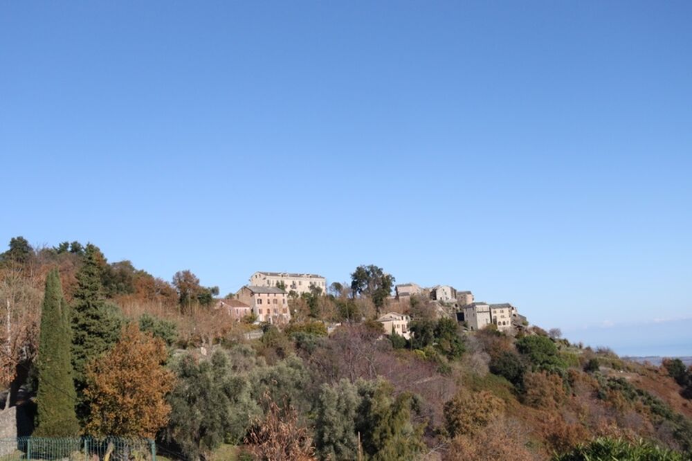 Maison 5 pièces vue panoramique mer et montagne à PENTA DI CASINCA (20)