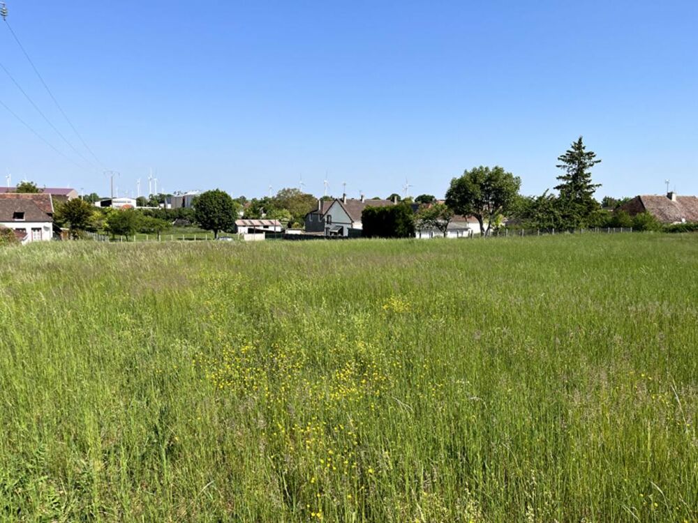 Vente Terrain Terrain constructible pour partie, 7090 m2 Les grandes chapelles