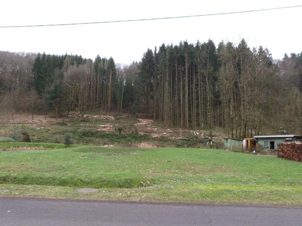 Vente Terrain Dpt Moselle (57), à vendre HOTTVILLER terrain - Terrain de 803,00 m² Hottviller