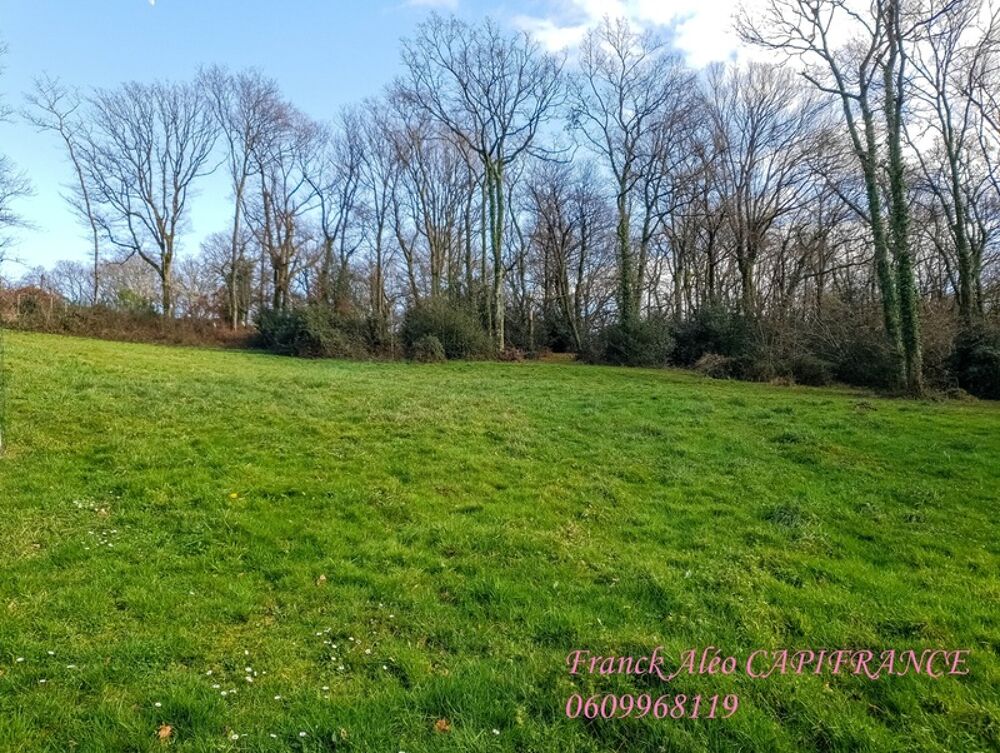 Vente Terrain Dpt Pyrénées Atlantiques (64), à vendre BUROS terrain Buros