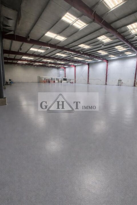 ENTREPOT 4700 M2 A VENDRE GRETZ ARMAINVILLIERS 4850000 77220 Gretz armainvilliers