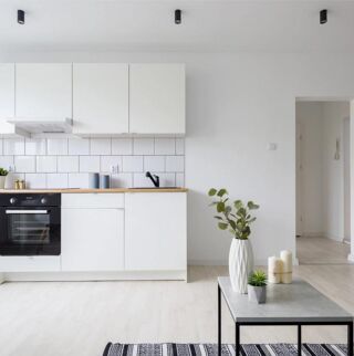  Appartement � vendre 3 pi�ces 50 m�