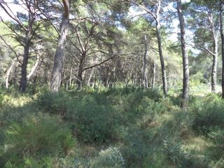  Terrain � vendre 4644 m�