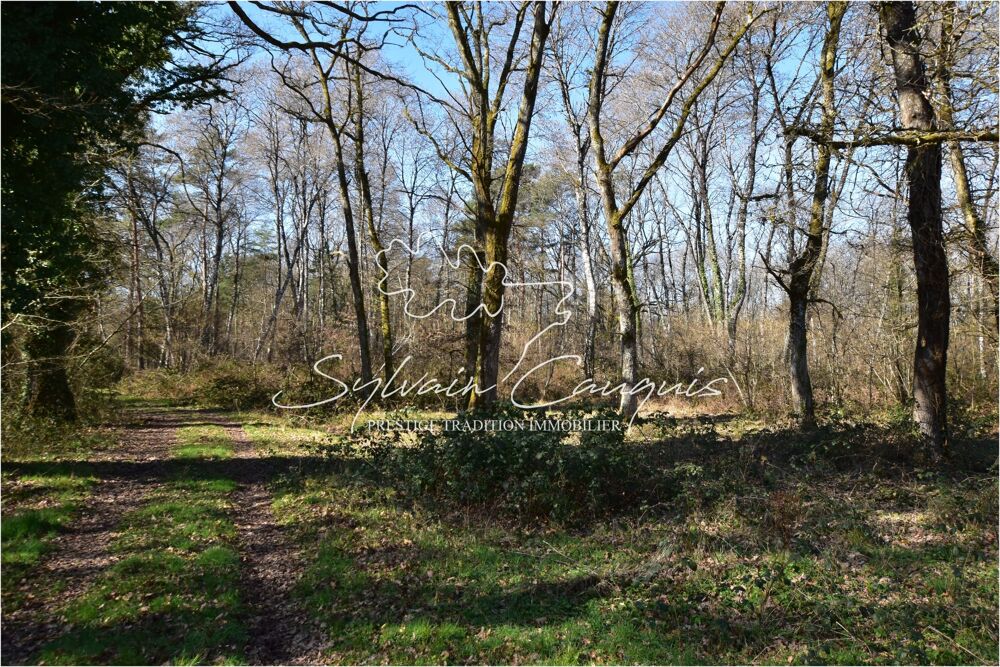 Propriété de Chasse ou d'Agrément de 60 hectares en Sologne