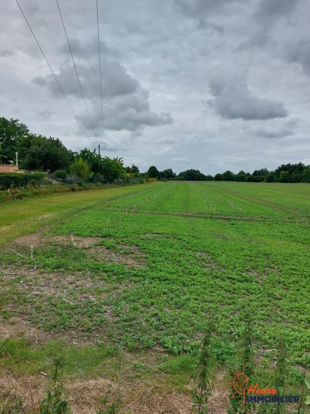Vente Terrain LA NEUVILLE AU TEMPLE : 3 Terrains à bâtir viabilisés et libr Saint hilaire au temple