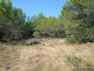  Terrain à vendre 30000 m²