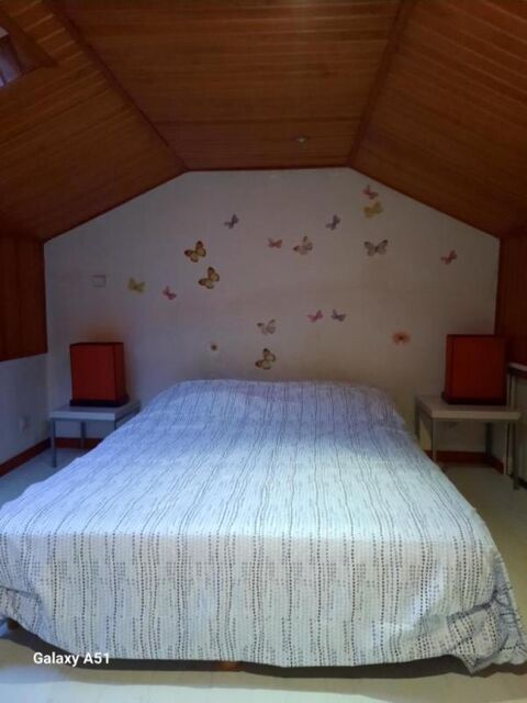  Appartement � louer 2 pi�ces 42 m�