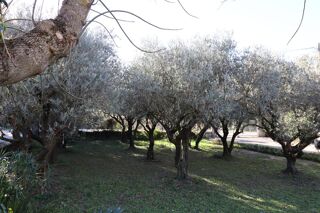  Maison � vendre 8 pi�ces 210 m�