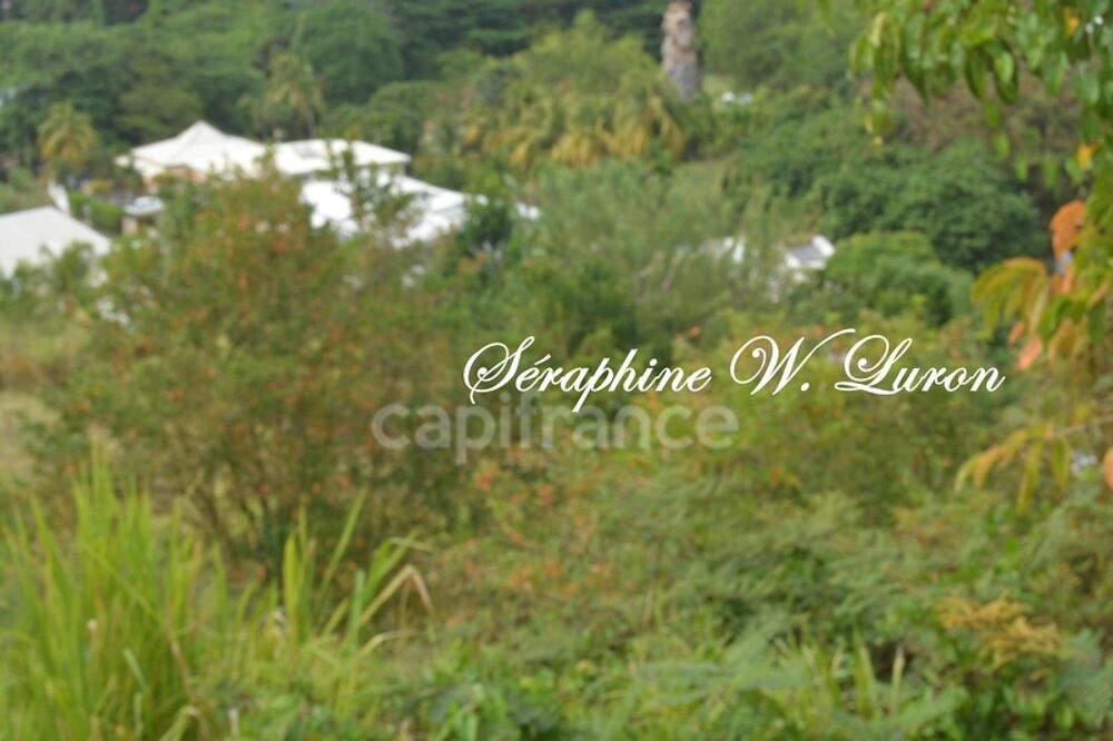 Vente Terrain Terrain à vendre de 800,00 m² LA TRINITE (972) La trinite
