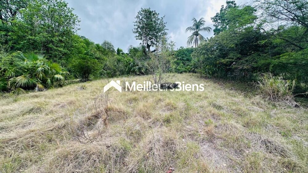 Vente Terrain A VENDRE 3 TERRAINS  VUE MER  SUR BOUILLANTE Bouillante