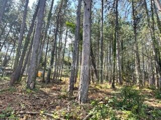  Terrain à vendre 3577 m²