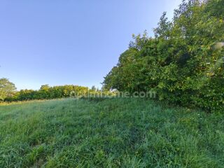  Terrain à vendre 1650 m²