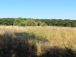 Terrain à vendre 2597 m²