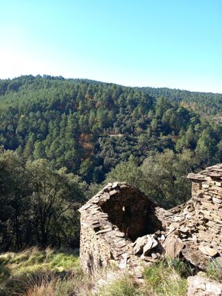  Maison � vendre 1 pi�ce 300 m�