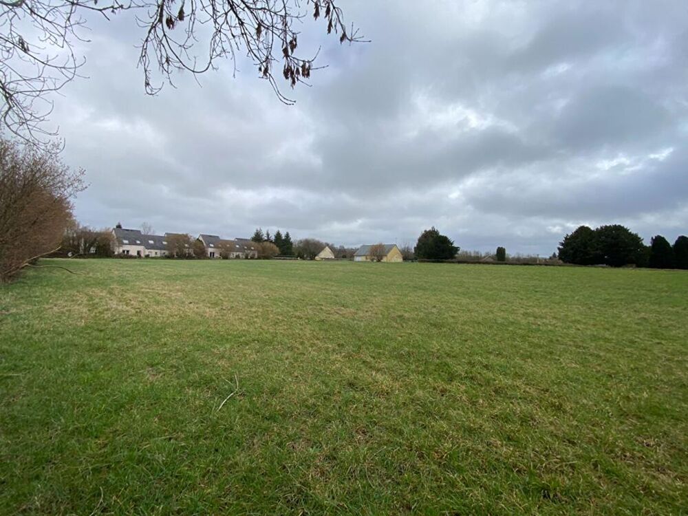 Vente Terrain TERRAIN CONSTRUCTIBLE Torigny les villes