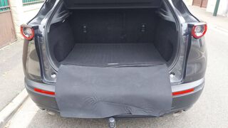 CX-30 2.0 e-Skyactiv-X M Hybrid 186 4x4 BVA6 Exclusive - Premi&egrave;re 2021 occasion 93340 Le Raincy