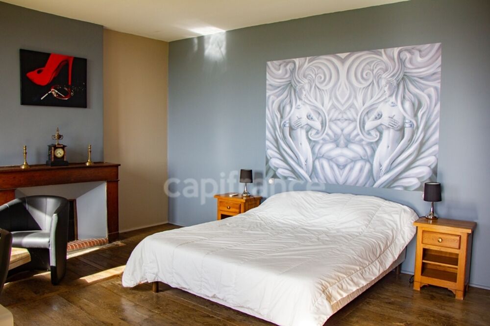  vendre  Proprit/chteau Albi (81000)