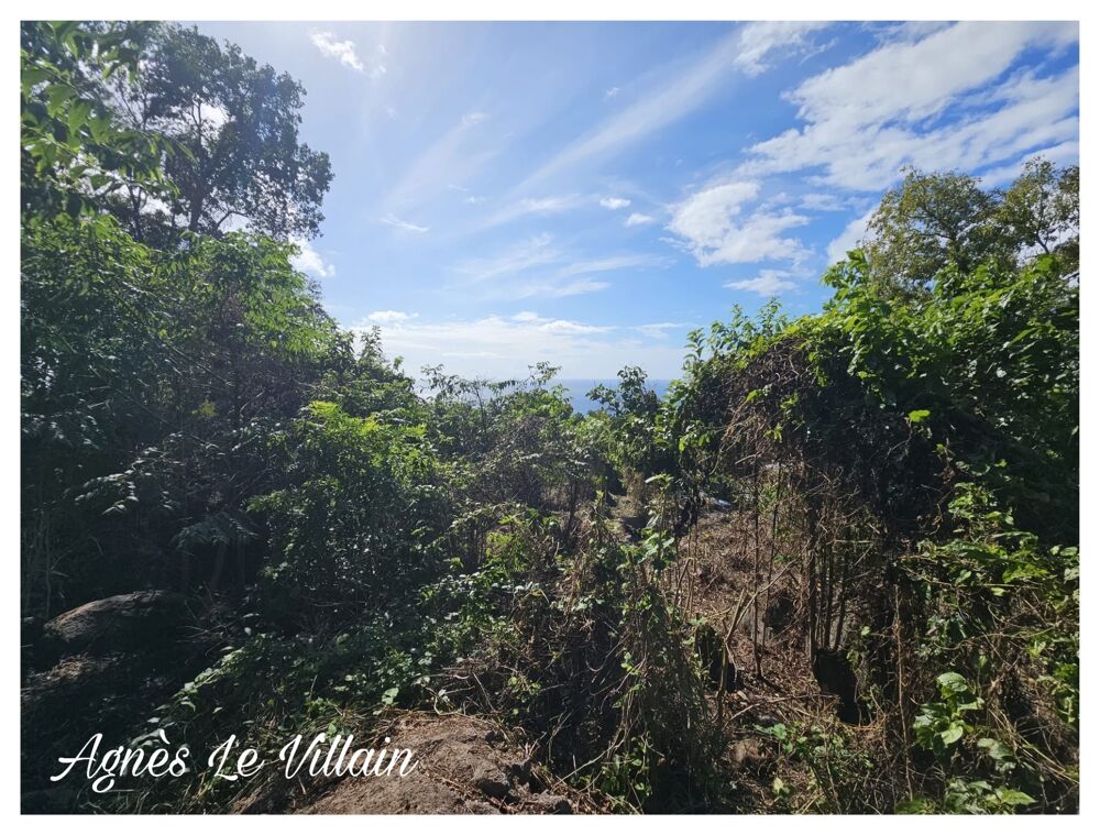 Vente Terrain Terrain Vue Mer Grosses Roches de 1 041 m2 Pointe noire