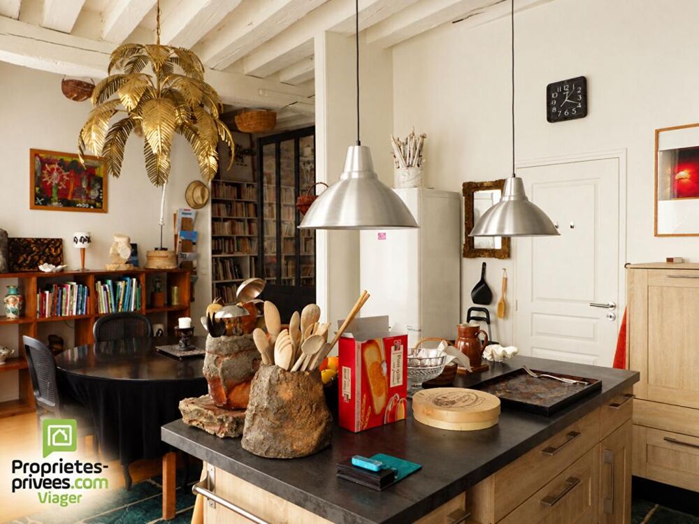 VENTE À TERME OCCUPÉE MAISON D'ARTISTE CHATILLON SUR LOIRE