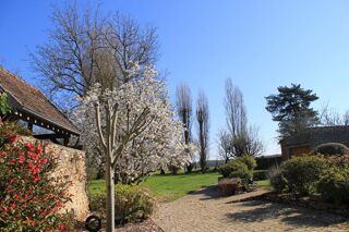  Propriété/château à vendre 10 pièces 251 m²