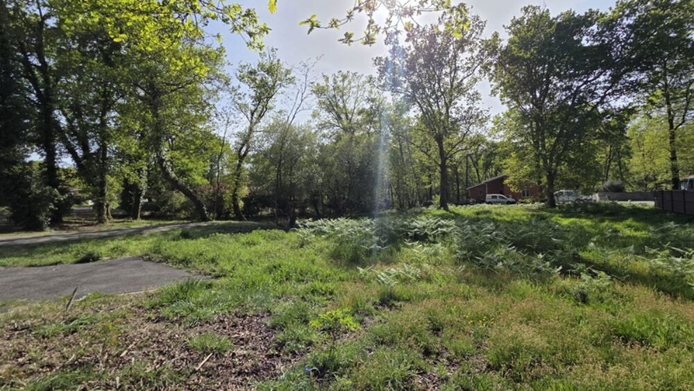 Vente Terrain Terrain de 1 187 m² - Gourbera - calme, nature, exposition Sud et libre de constructeur Gourbera