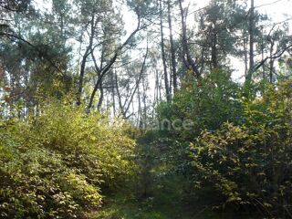  Terrain � vendre 14360 m�