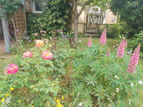  Appartement � louer 1 pi�ce 25 m�