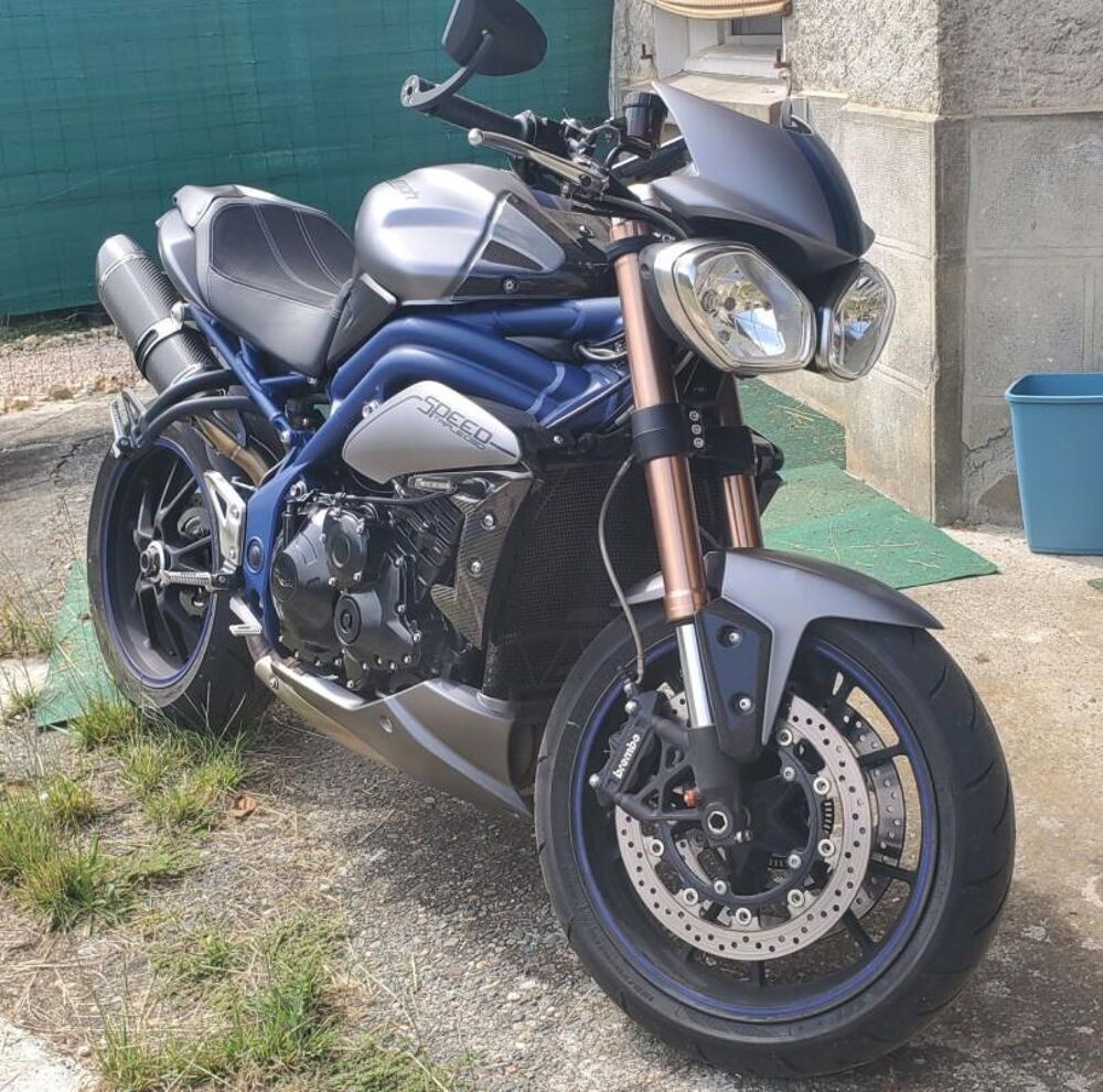 TRIUMPH 2013 occasion 65300 Lannemezan