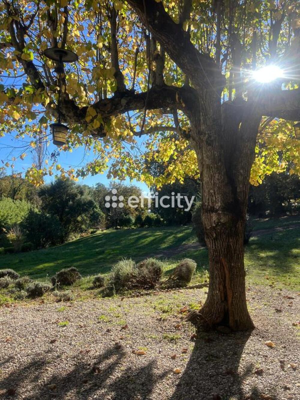  vendre  Villa La Garde-Freinet (83680)