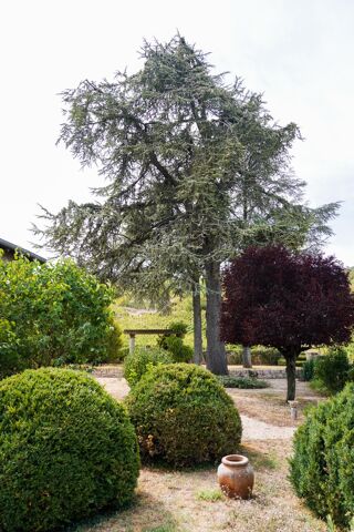 Maison à vendre 11 pièces 290 m²