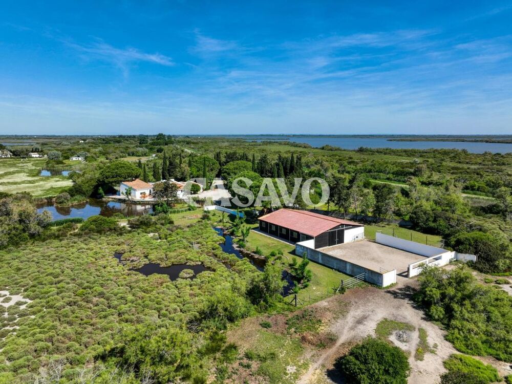 Vente Propriété/Château Vente Maison 8 pièces de 300m² - 13460 Saintes-Maries-de-la-Mer Saintes maries de la mer