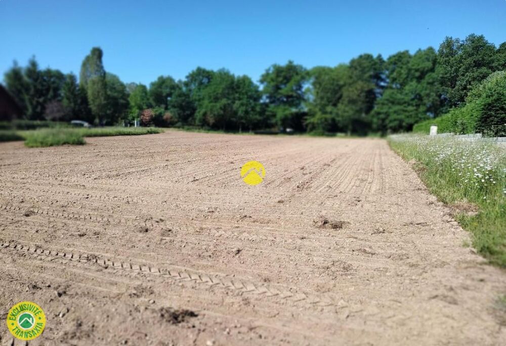 Vente Terrain proche tous reseaux Dun le palestel
