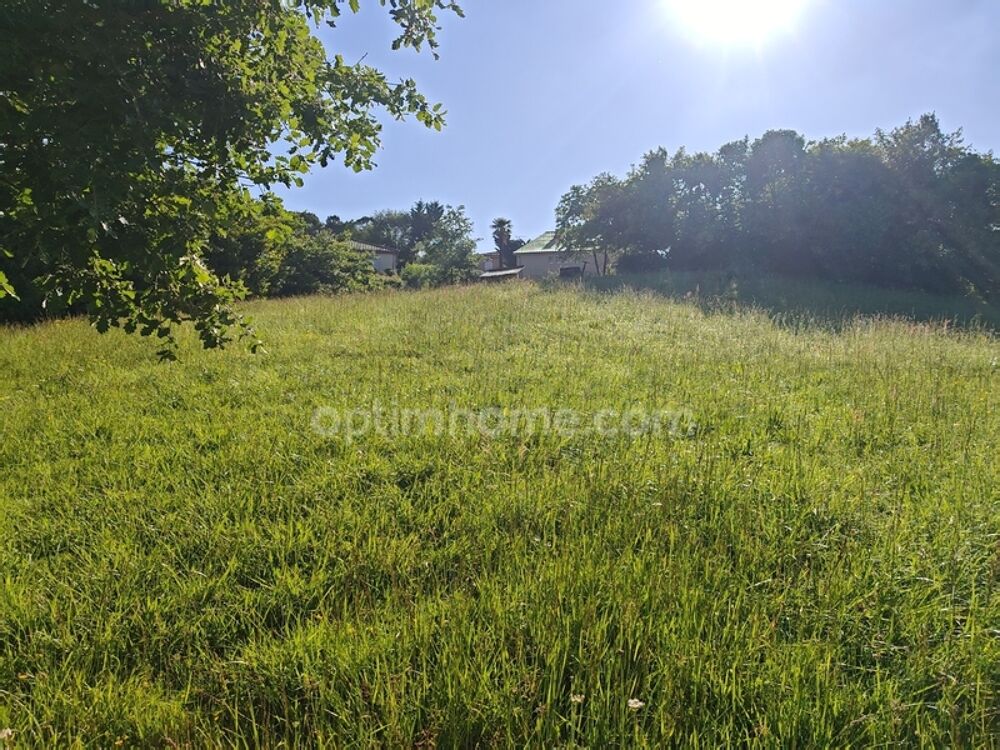 Vente Terrain Terrain constructible de 1 650,00 m² situé à EAUZE (32) Eauze
