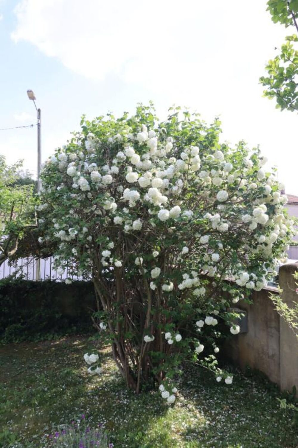 Vente Maison Maison Ceinture Verte Avignon 4 pièce(s) 114 m2 Avignon